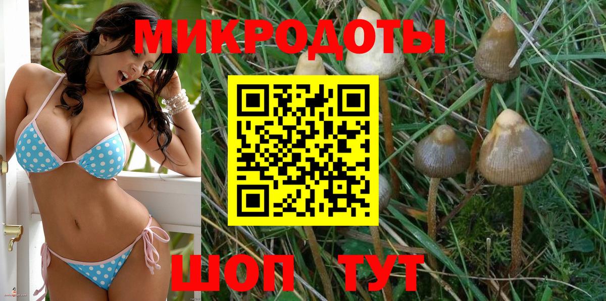 Галлюциногенные грибы прущие грибы Людиново