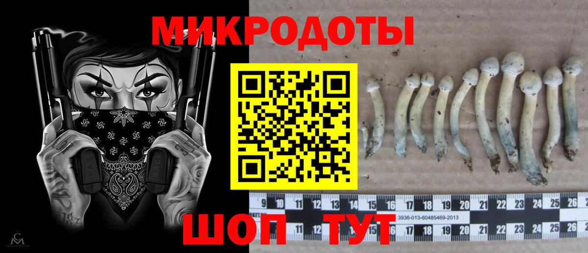 купить наркотик  Вход с VPN  Людиново  Галлюциногенные грибы MAGIC MUSHROOMS 